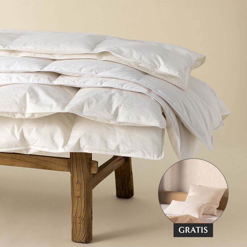 Luxus Decke Bundle
