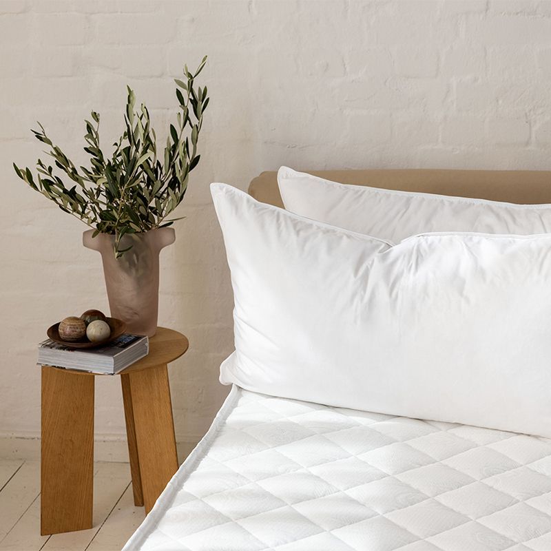 Richtig Waschen Kopfkissen Federn Daunen Waschen HANSE SELECT