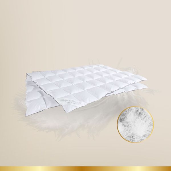 Hanse Excellence Eiderdaunendecke