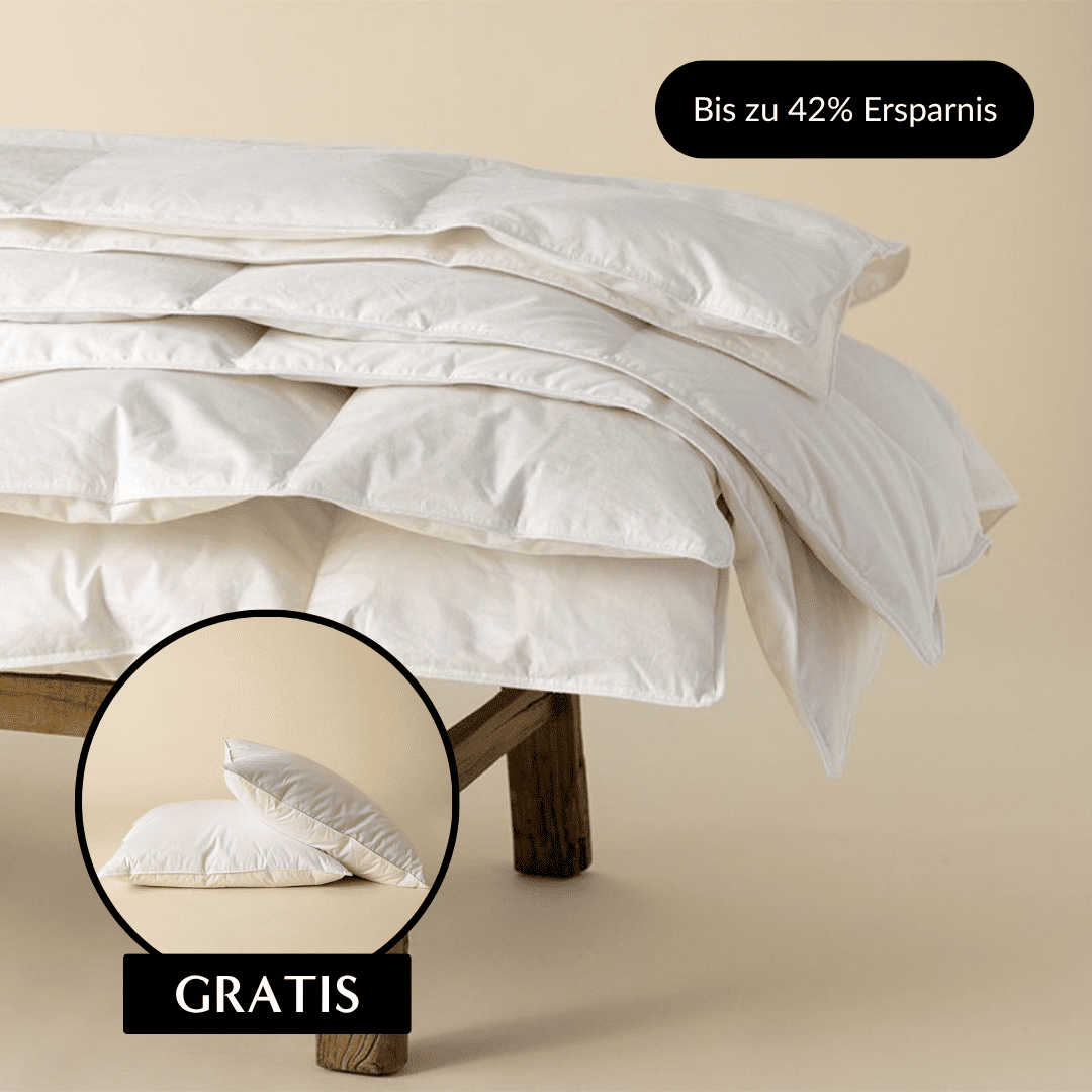 Zudecke Federfrei und Kopfkissen Federfrei