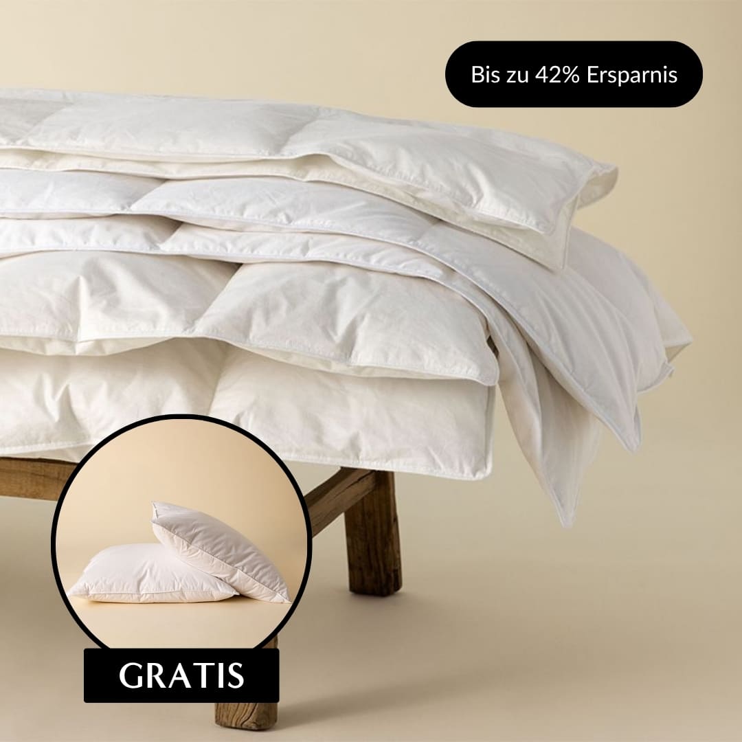 Zudecke Federfrei und Kopfkissen Federfrei