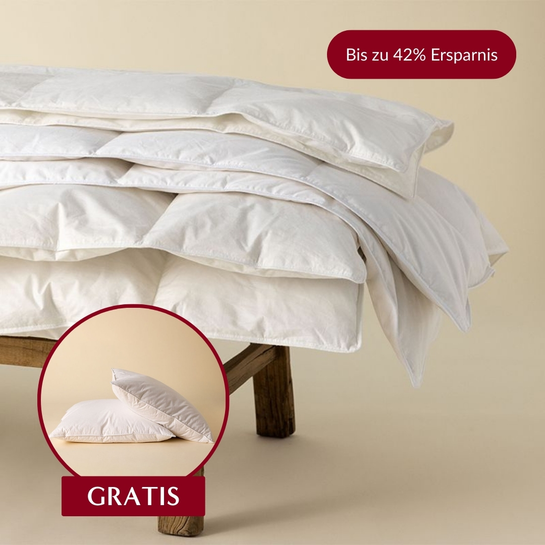 Zudecke Federfrei und Kopfkissen Federfrei