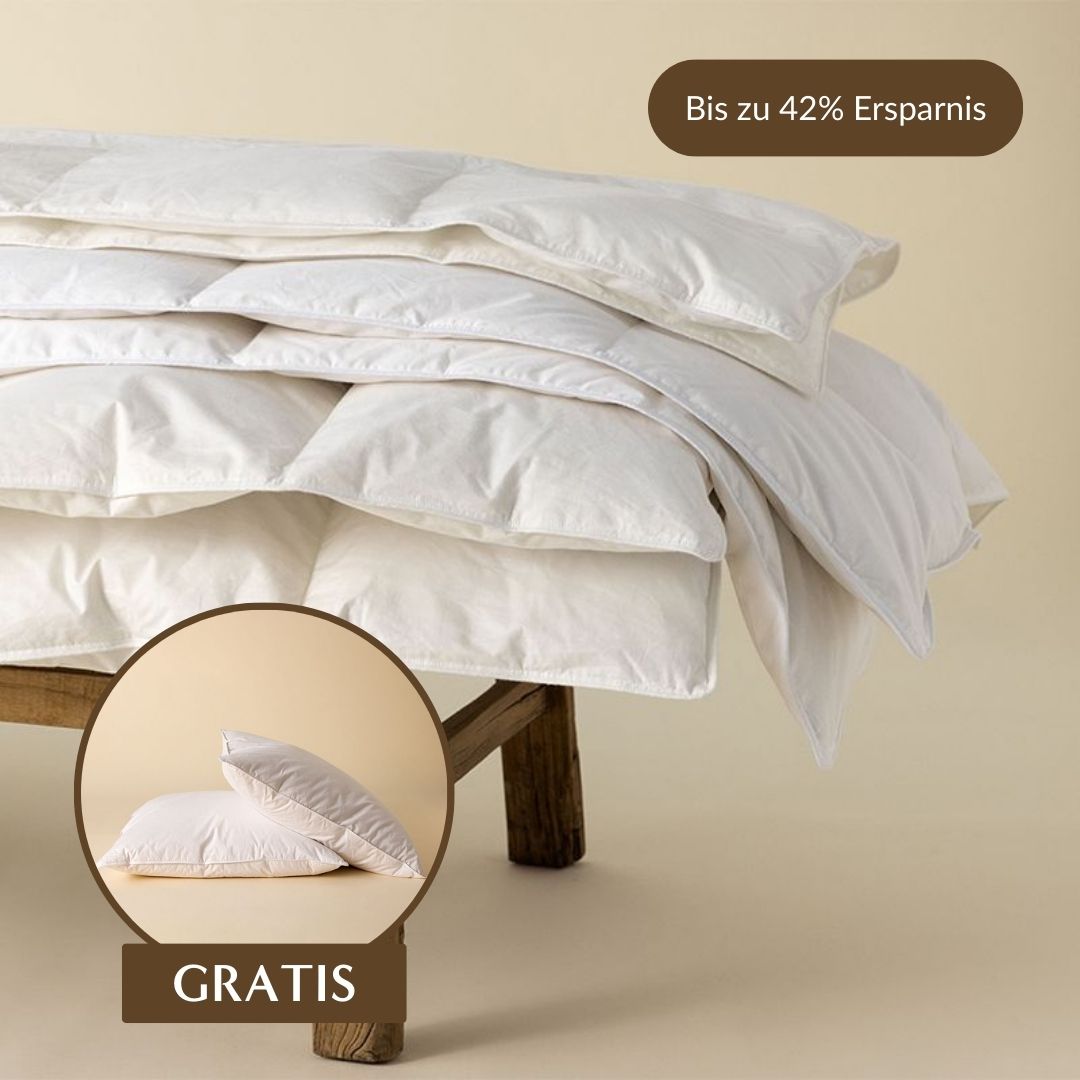 Zudecke Federfrei und Kopfkissen Federfrei